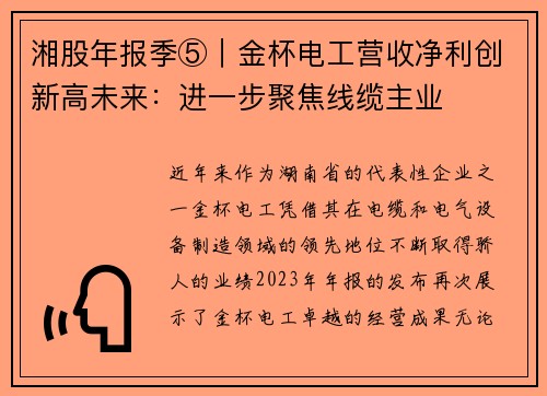 湘股年报季⑤｜金杯电工营收净利创新高未来：进一步聚焦线缆主业